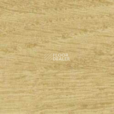 Линолеум Gerflor Taralay Initial Comfort 0024 Chamois фото 1 | FLOORDEALER